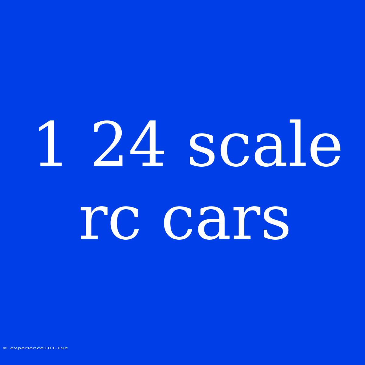 1 24 Scale Rc Cars