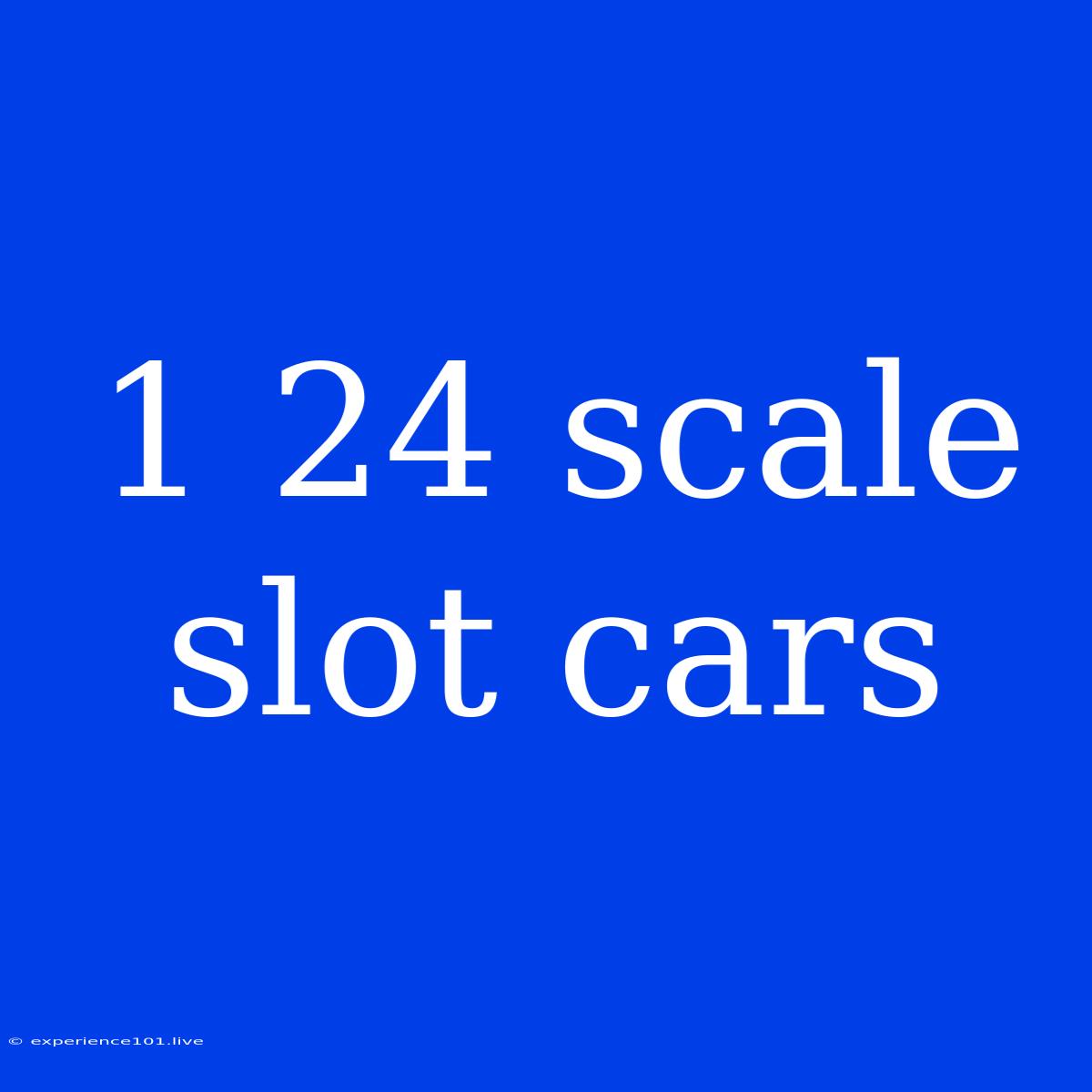 1 24 Scale Slot Cars