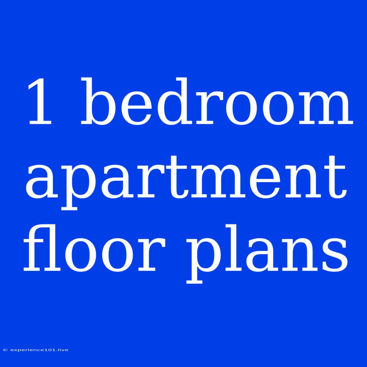 1 Bedroom Apartment Floor Plans